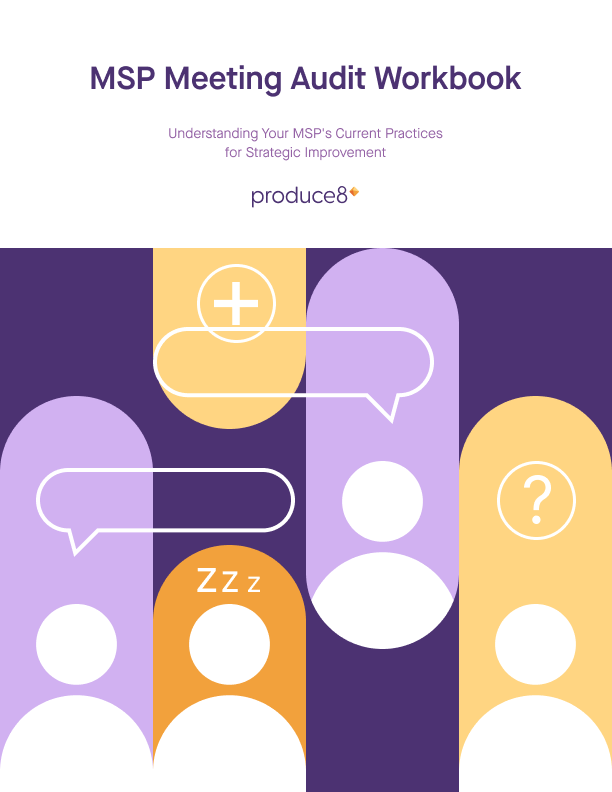 MSP Meeting Audit Workbook